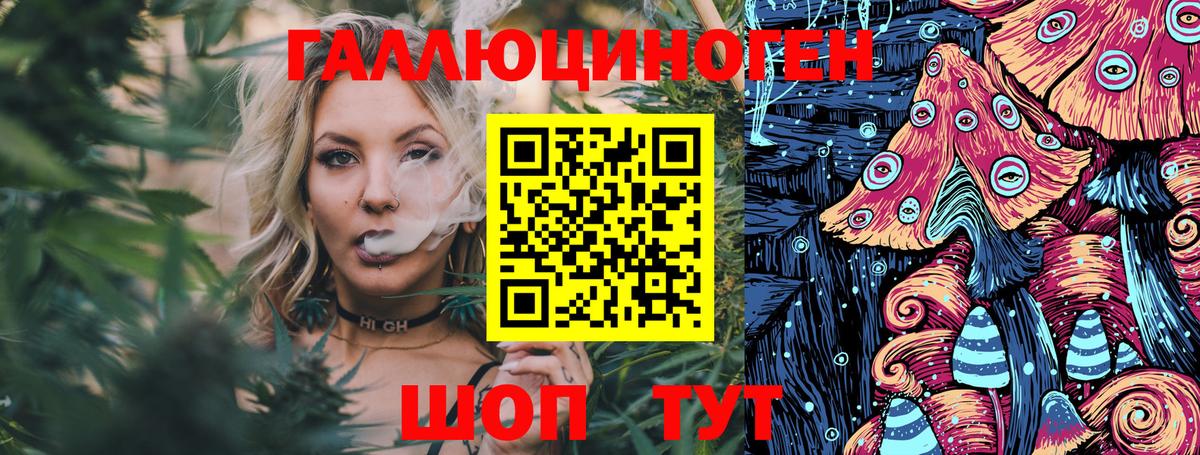 Псилоцибиновые грибы Cubensis Когалым